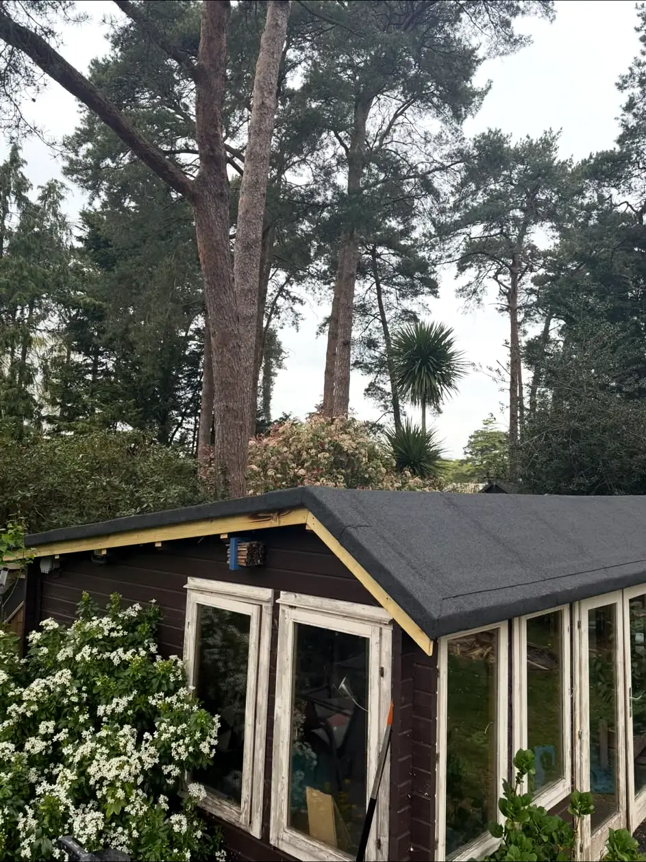 New felt roof covering on a garden summerhouse